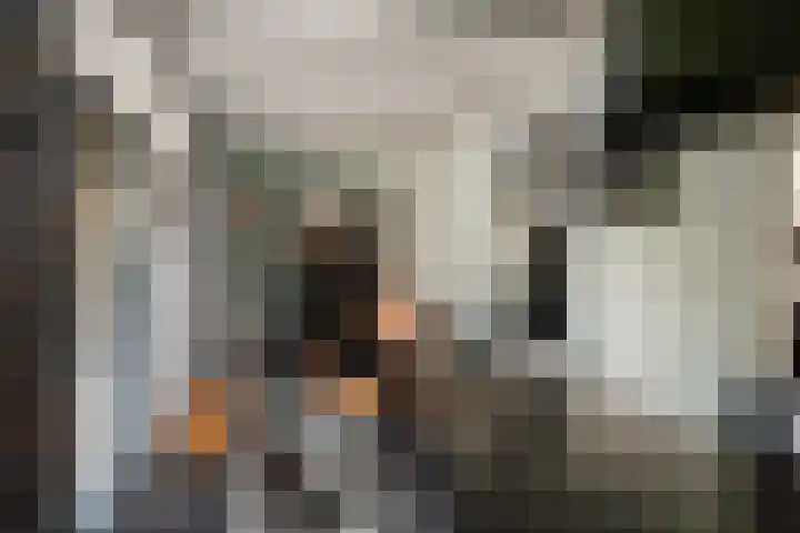 Rietgors 33 Alblasserdam thumbnail 11