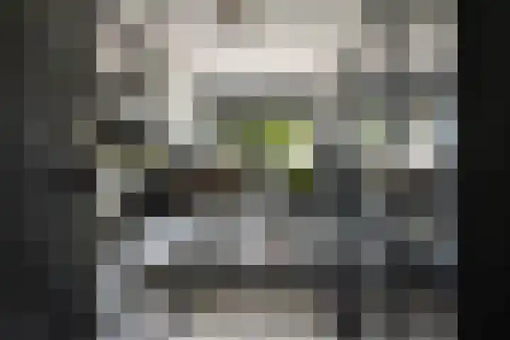 Rietgors 33 Alblasserdam thumbnail 12