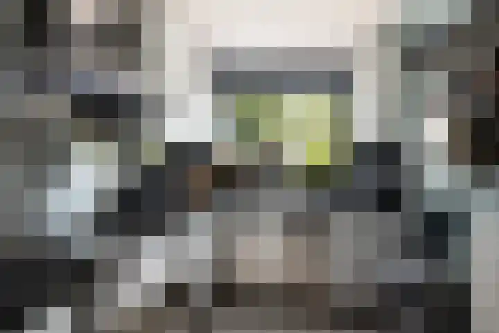 Rietgors 33 Alblasserdam thumbnail 13