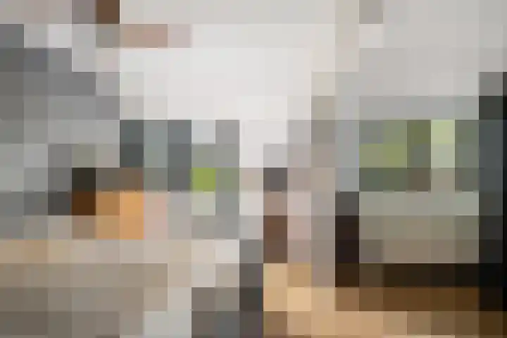 Rietgors 33 Alblasserdam thumbnail 17