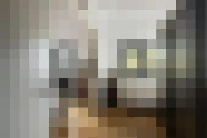 Rietgors 33 Alblasserdam thumbnail 18