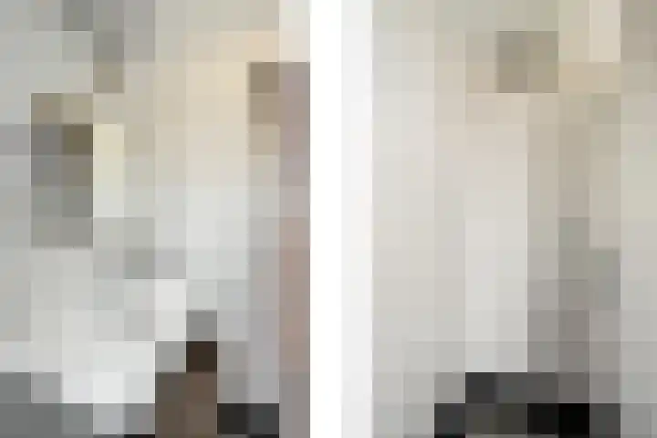 Rietgors 33 Alblasserdam thumbnail 27