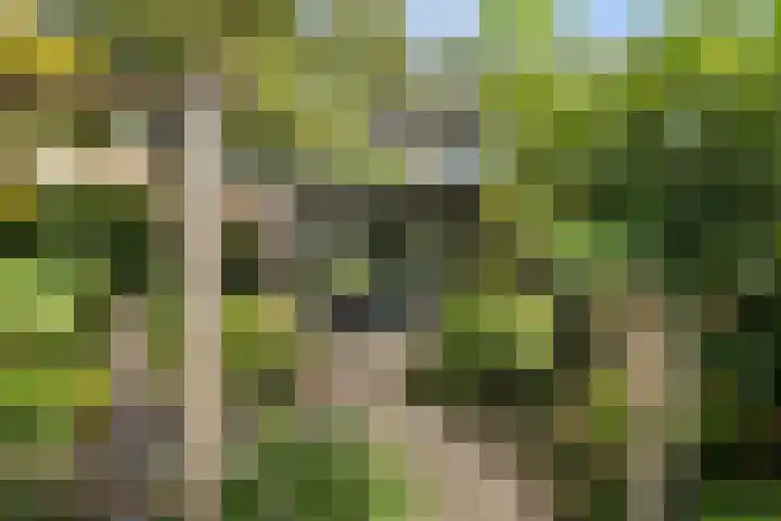 Rietgors 33 Alblasserdam thumbnail 29