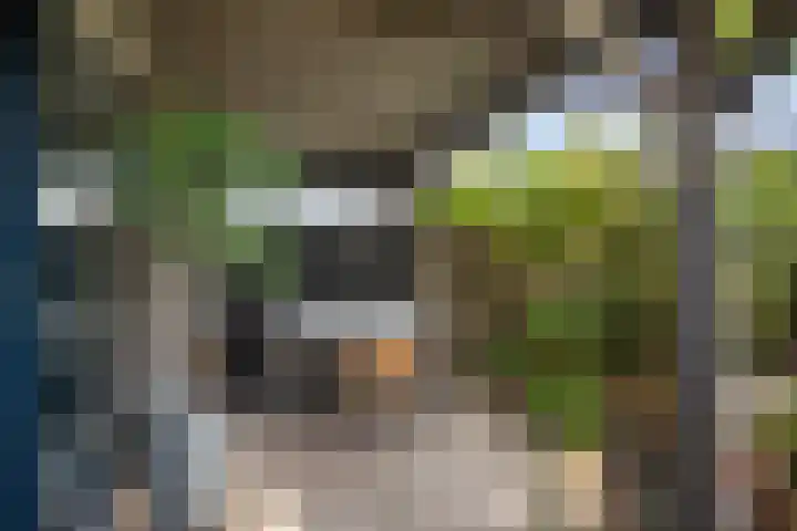 Rietgors 33 Alblasserdam thumbnail 31