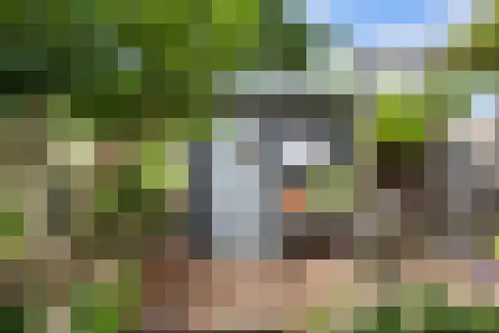 Rietgors 33 Alblasserdam thumbnail 34