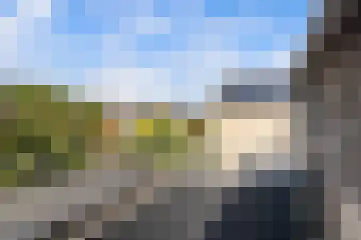 Rietgors 33 Alblasserdam thumbnail 36