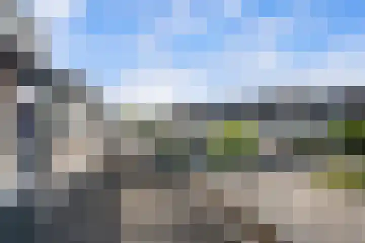 Rietgors 33 Alblasserdam thumbnail 37