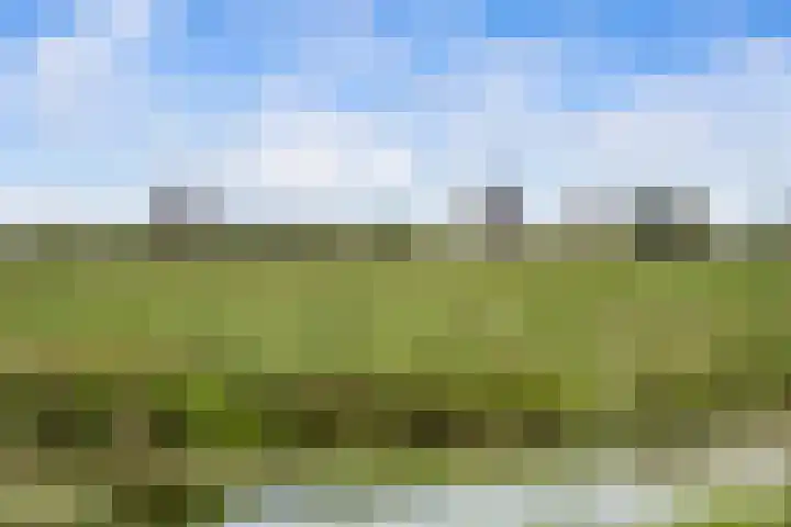 Rietgors 33 Alblasserdam thumbnail 38