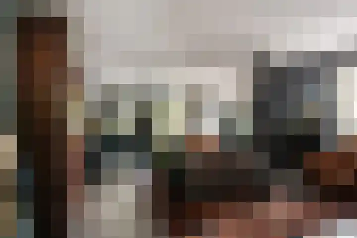 Rietgors 33 Alblasserdam thumbnail 7