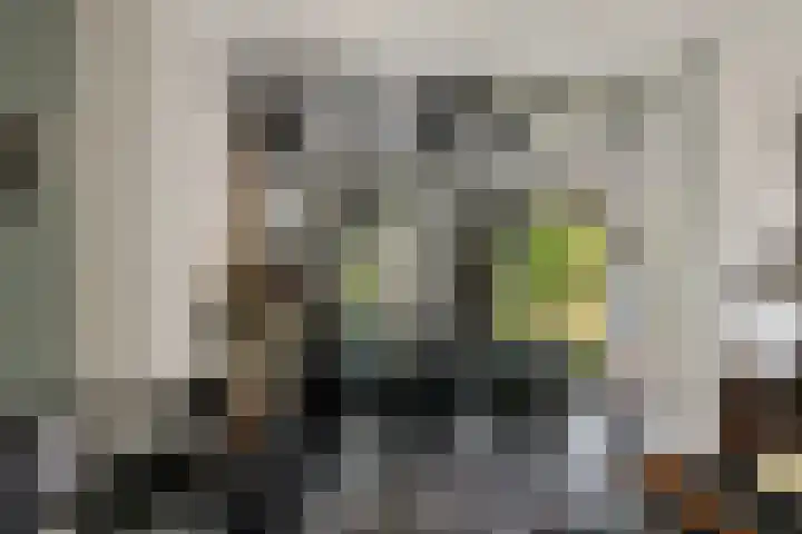 Rietgors 33 Alblasserdam thumbnail 8