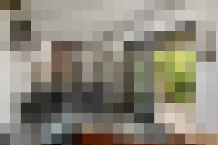 Rietgors 33 Alblasserdam thumbnail 9