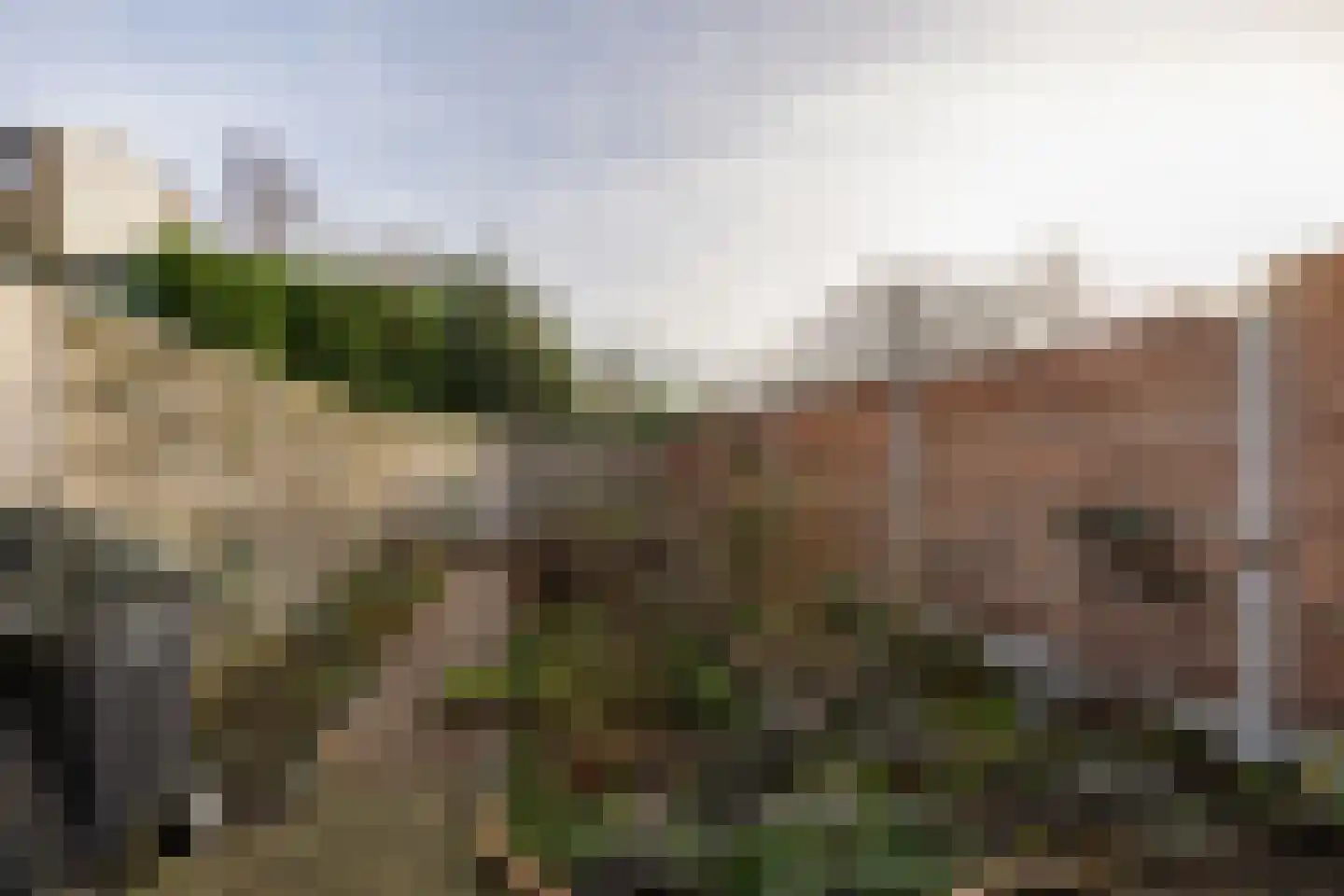 Rietgors 4 Leusden thumbnail 25