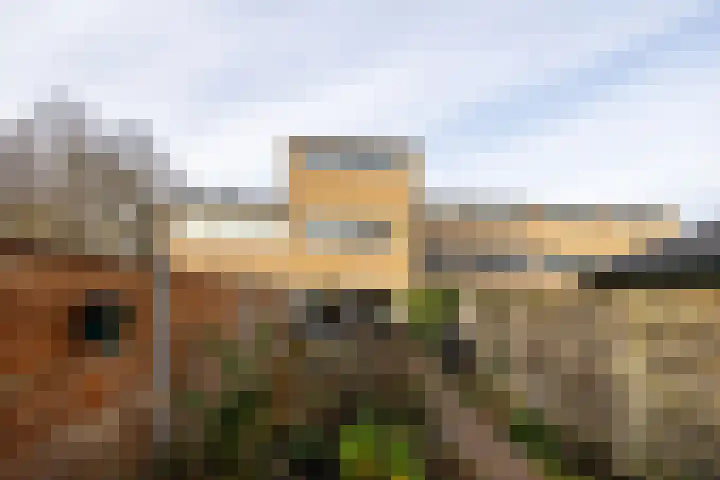 Rietgors 4 Leusden thumbnail 27