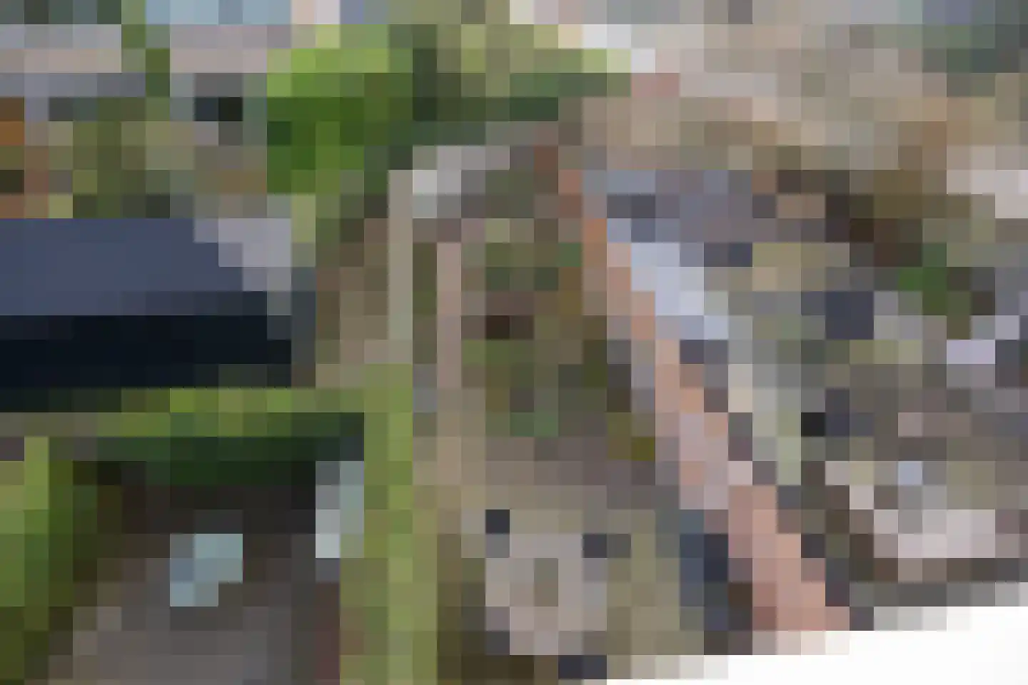 Rietgors 4 Leusden thumbnail 28