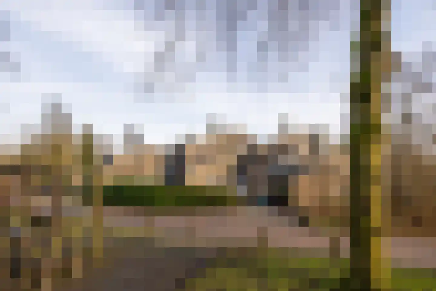 Rietgors 4 Leusden thumbnail 30