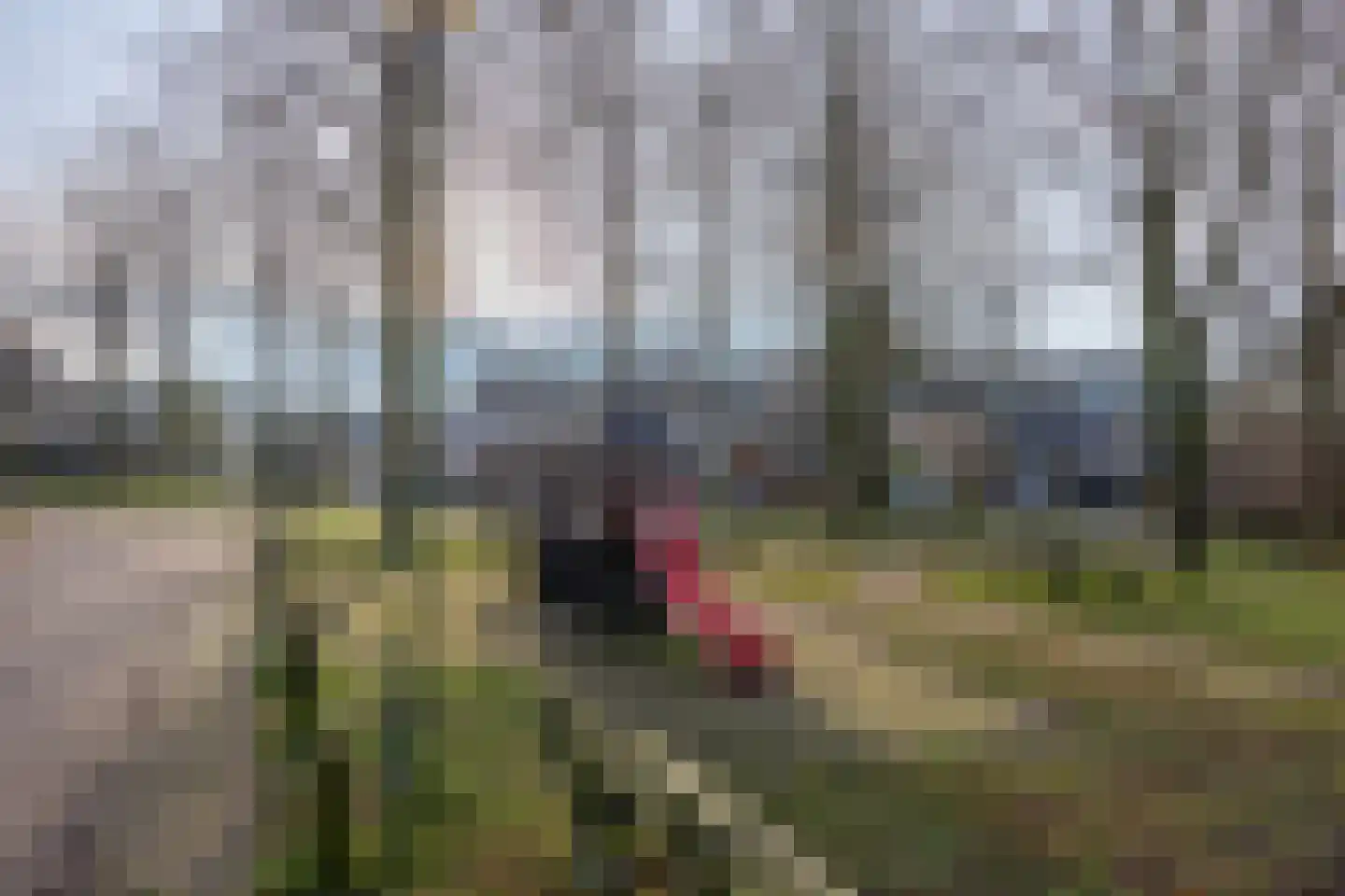 Rietgors 4 Leusden thumbnail 32