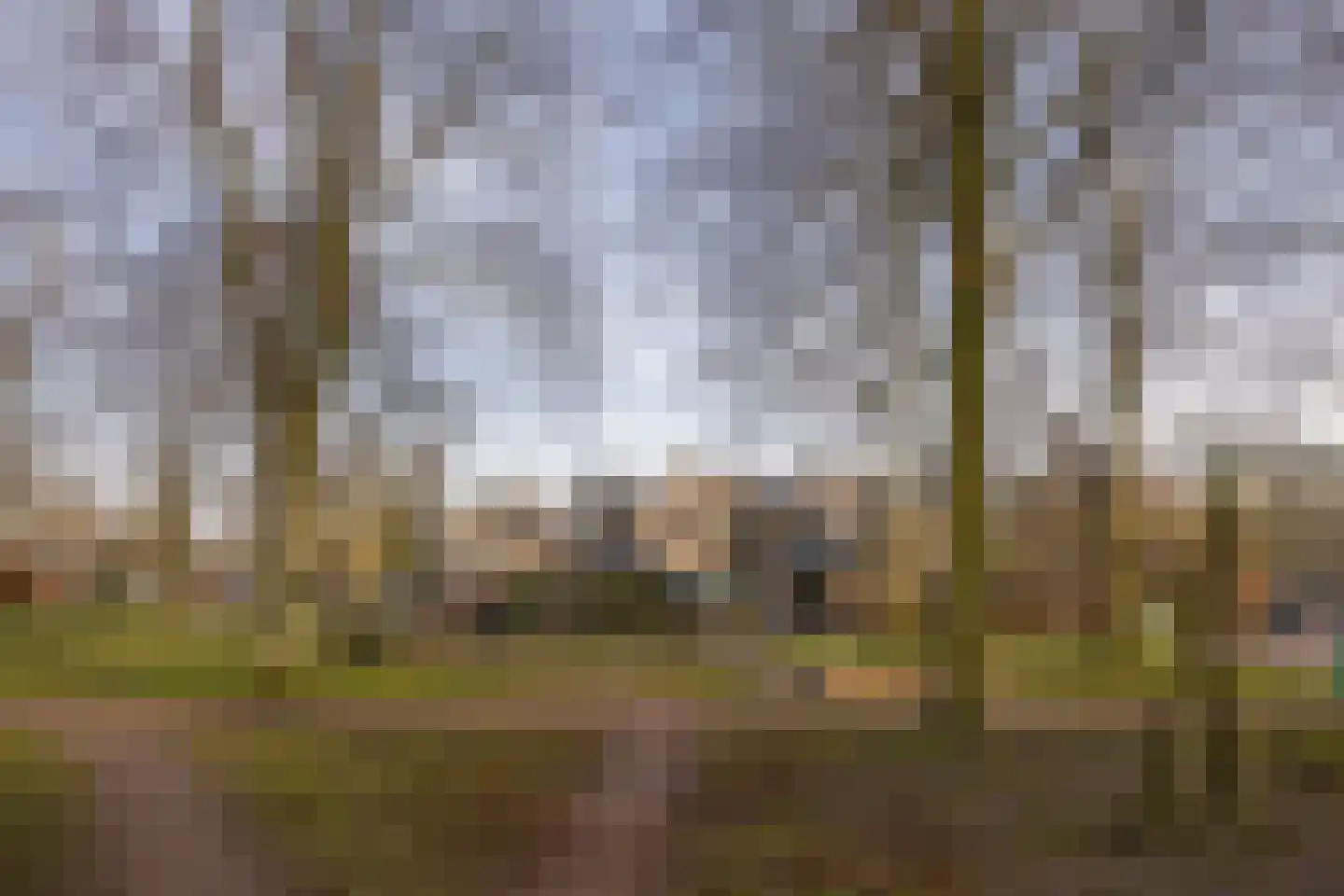 Rietgors 4 Leusden thumbnail 33