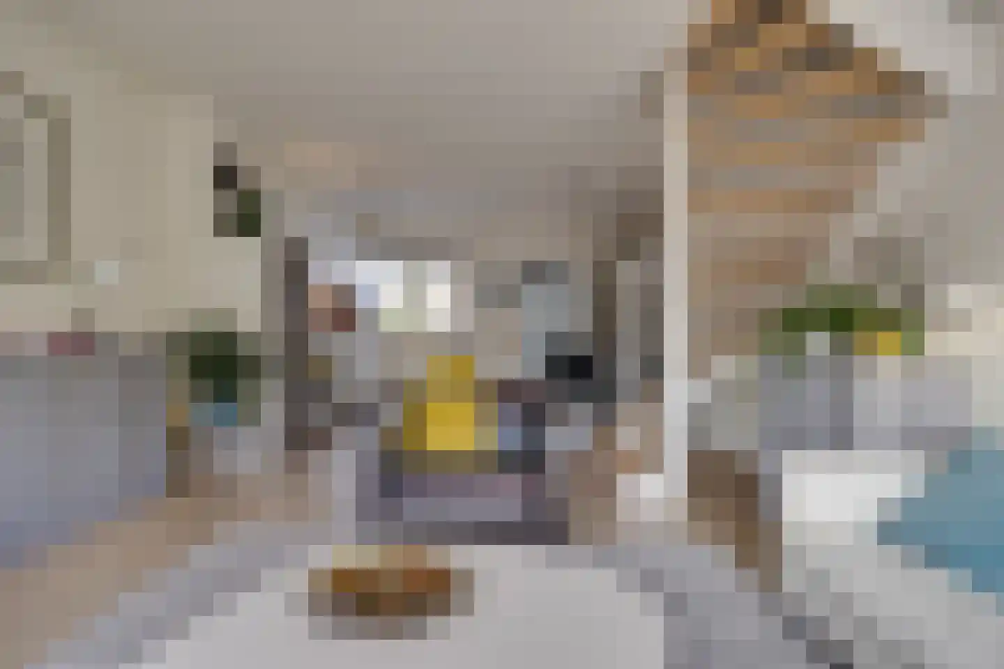 Rietgors 4 Leusden thumbnail 6