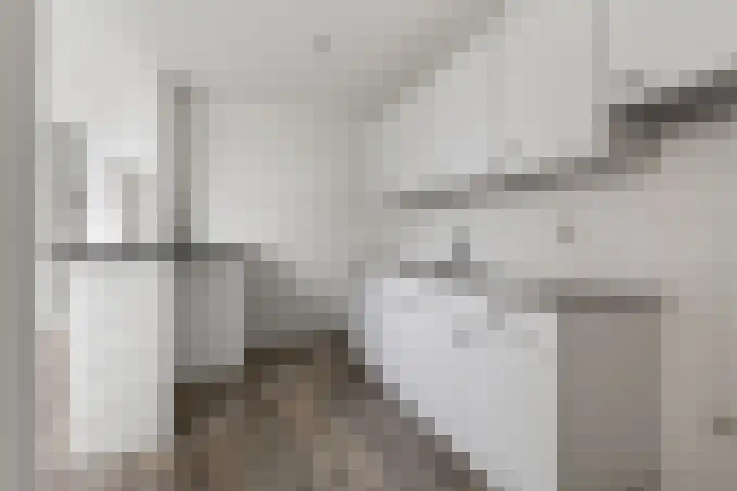 Rietgors 40 Deurne thumbnail 16