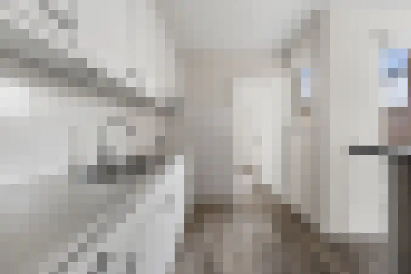 Rietgors 40 Deurne thumbnail 17