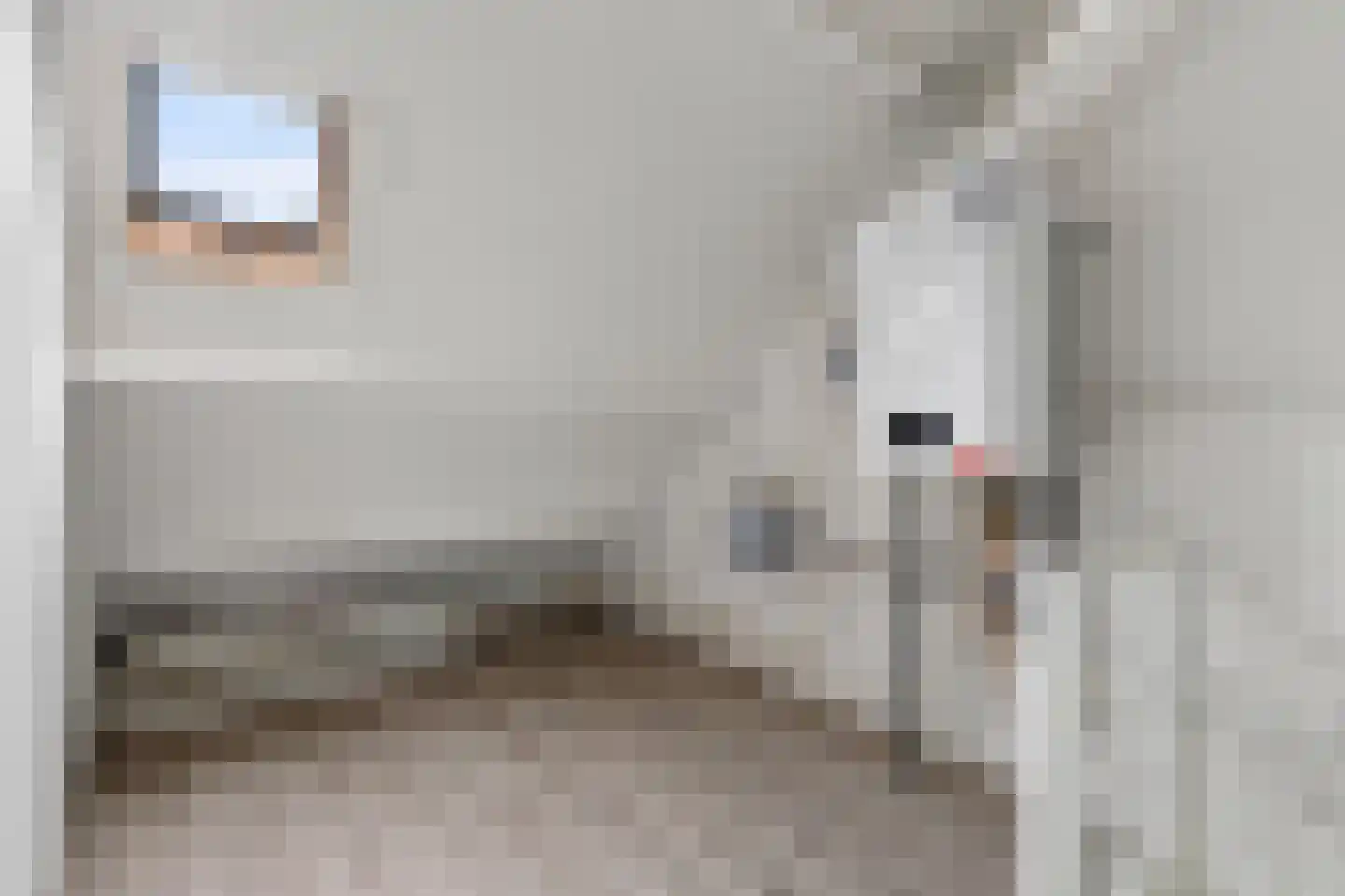 Rietgors 40 Deurne thumbnail 28