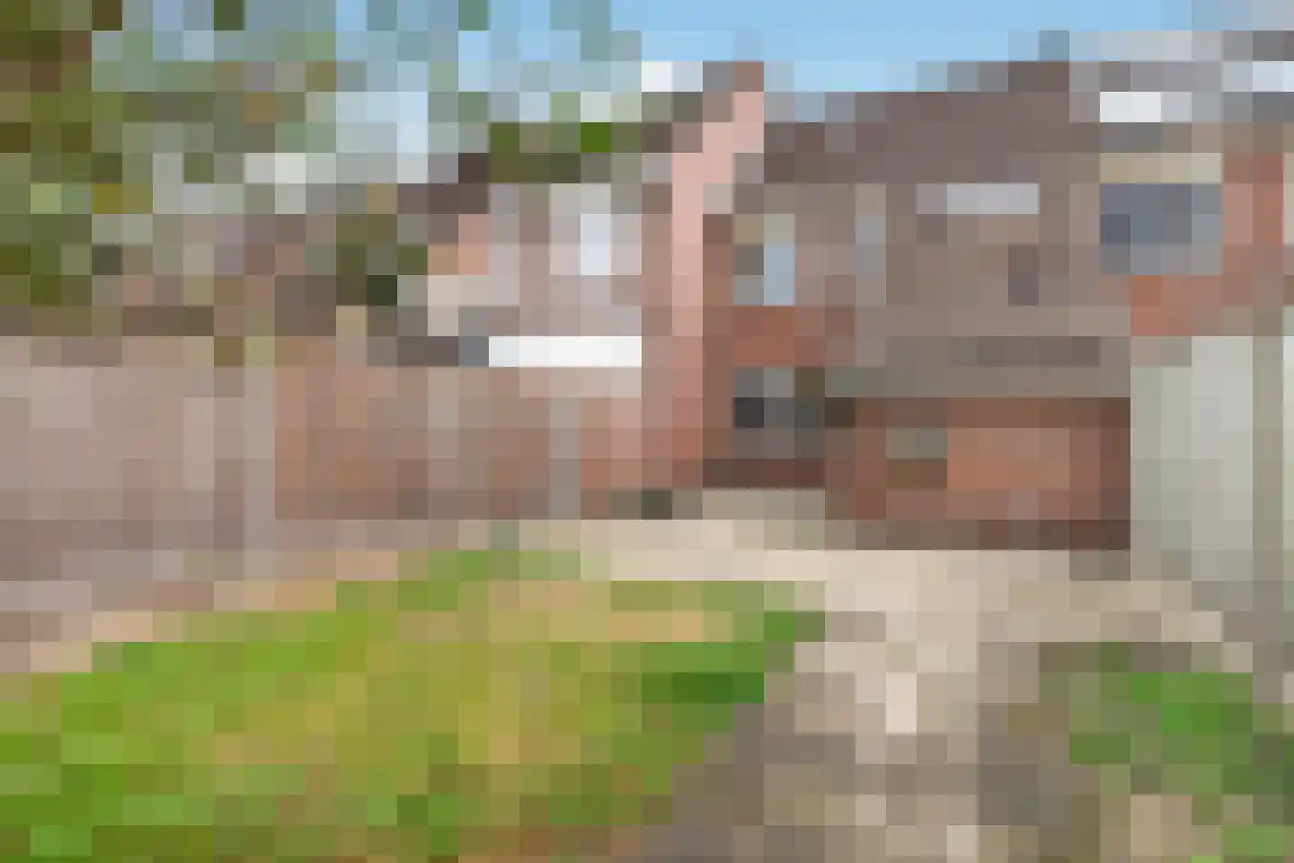 Rietgors 40 Deurne thumbnail 36