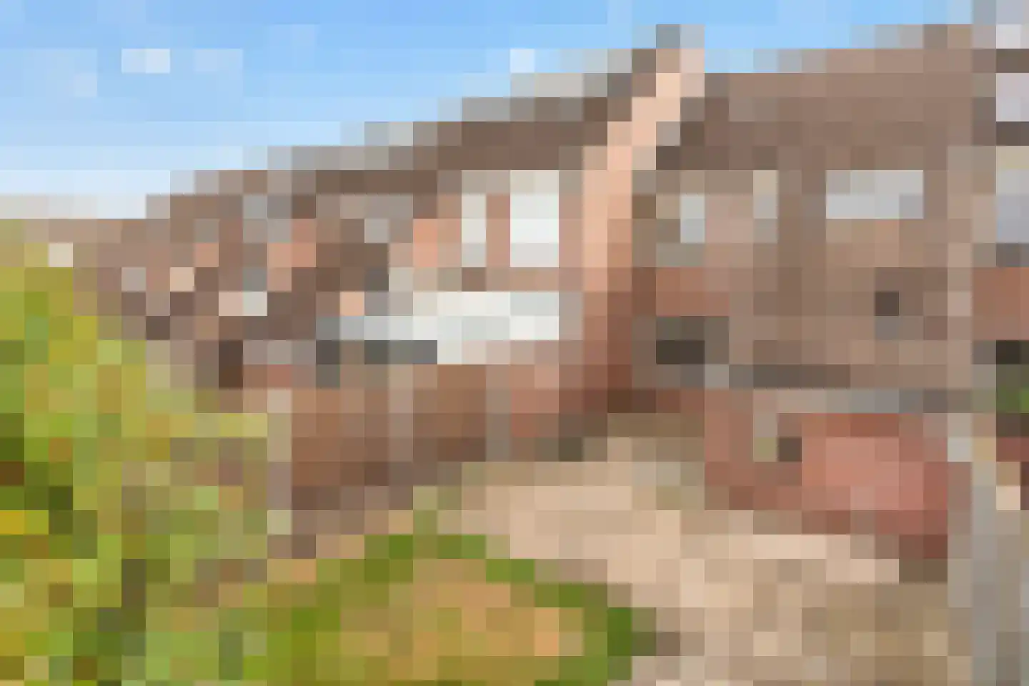 Rietgors 40 Deurne thumbnail 38