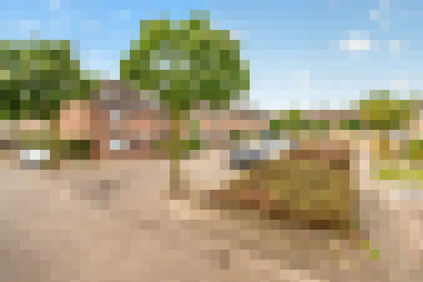 Rietgors 40 Deurne thumbnail 42