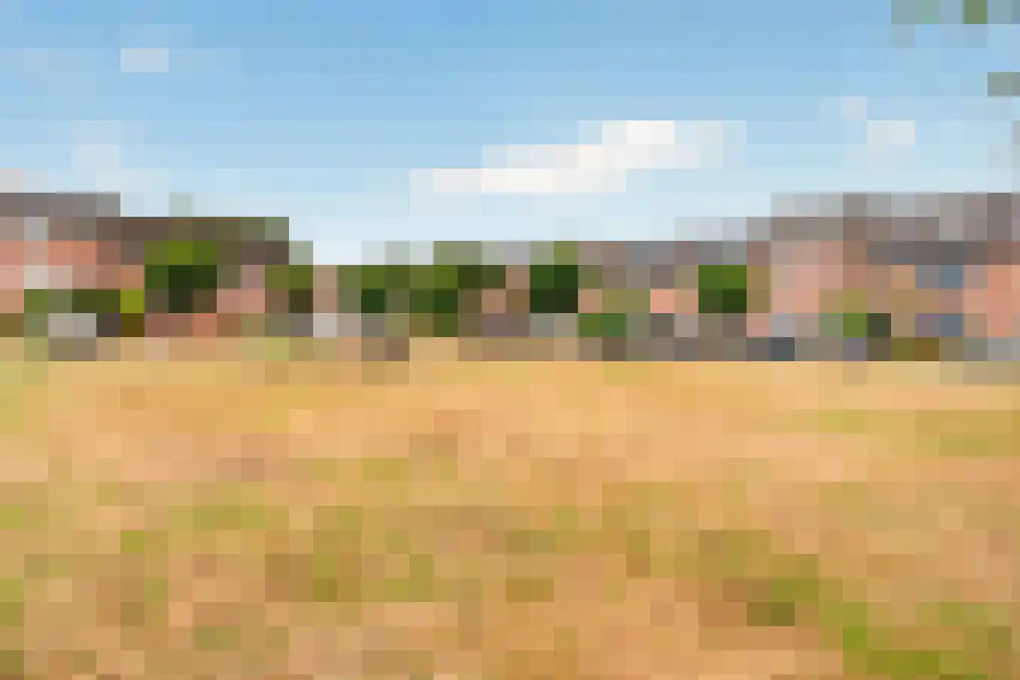 Rietgors 40 Deurne thumbnail 43