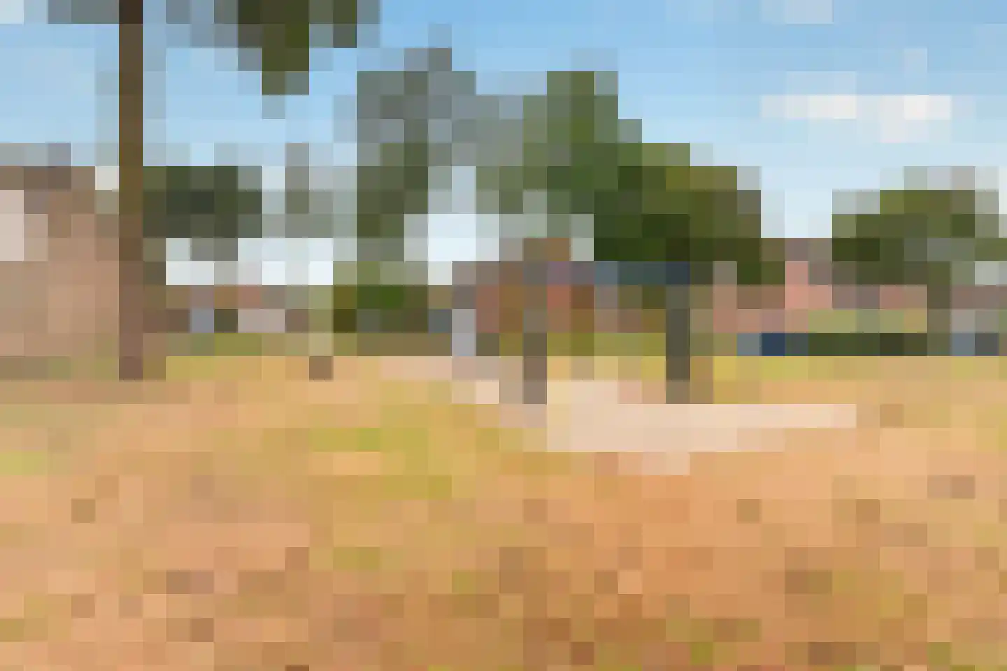 Rietgors 40 Deurne thumbnail 45