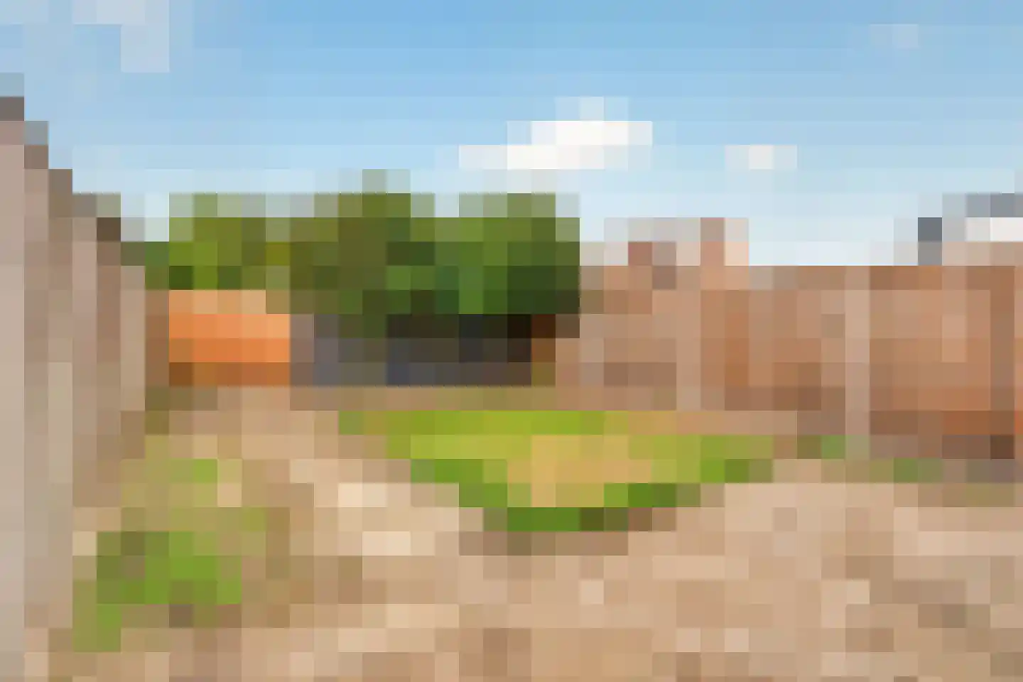 Rietgors 40 Deurne thumbnail 5