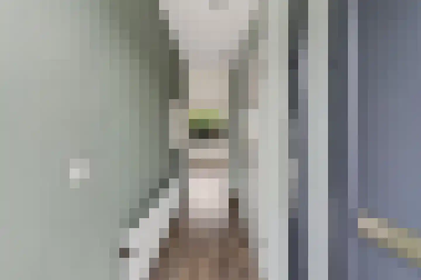 Rietgors 40 Deurne thumbnail 7