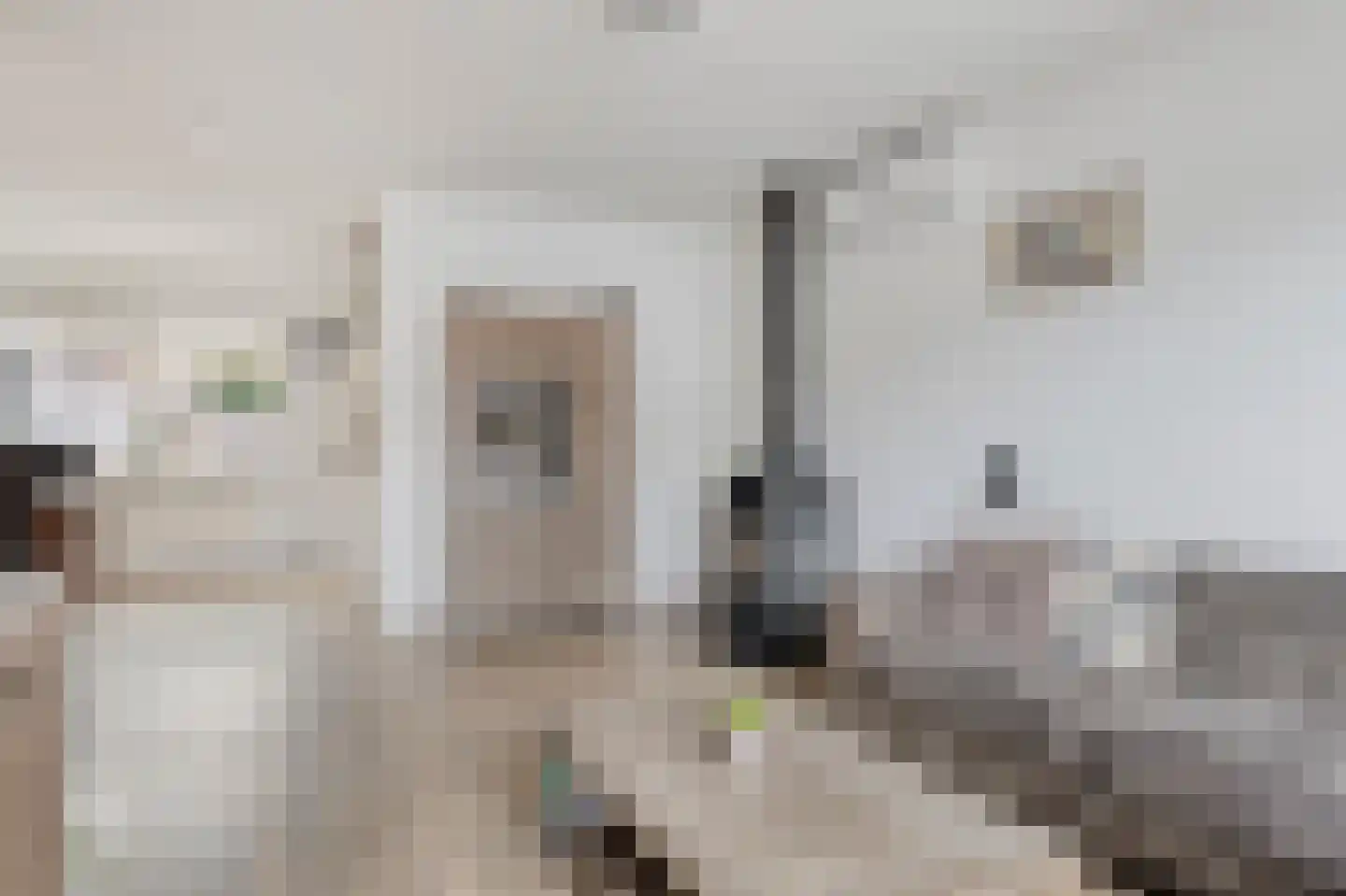 Rietgors 43 Deurne thumbnail 11
