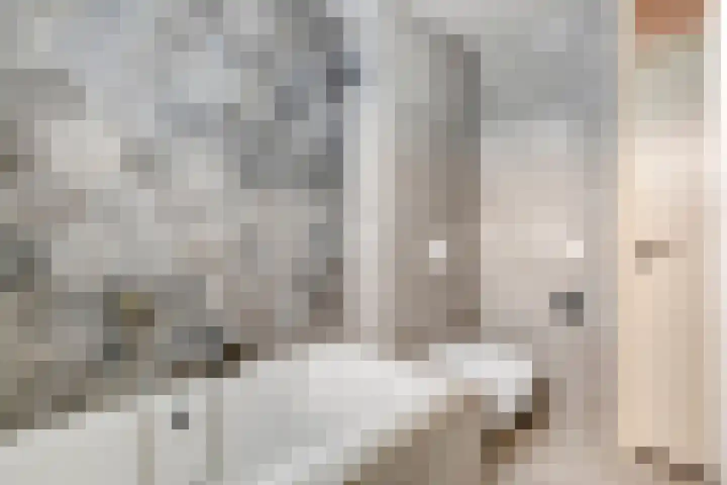 Rietgors 43 Deurne thumbnail 30