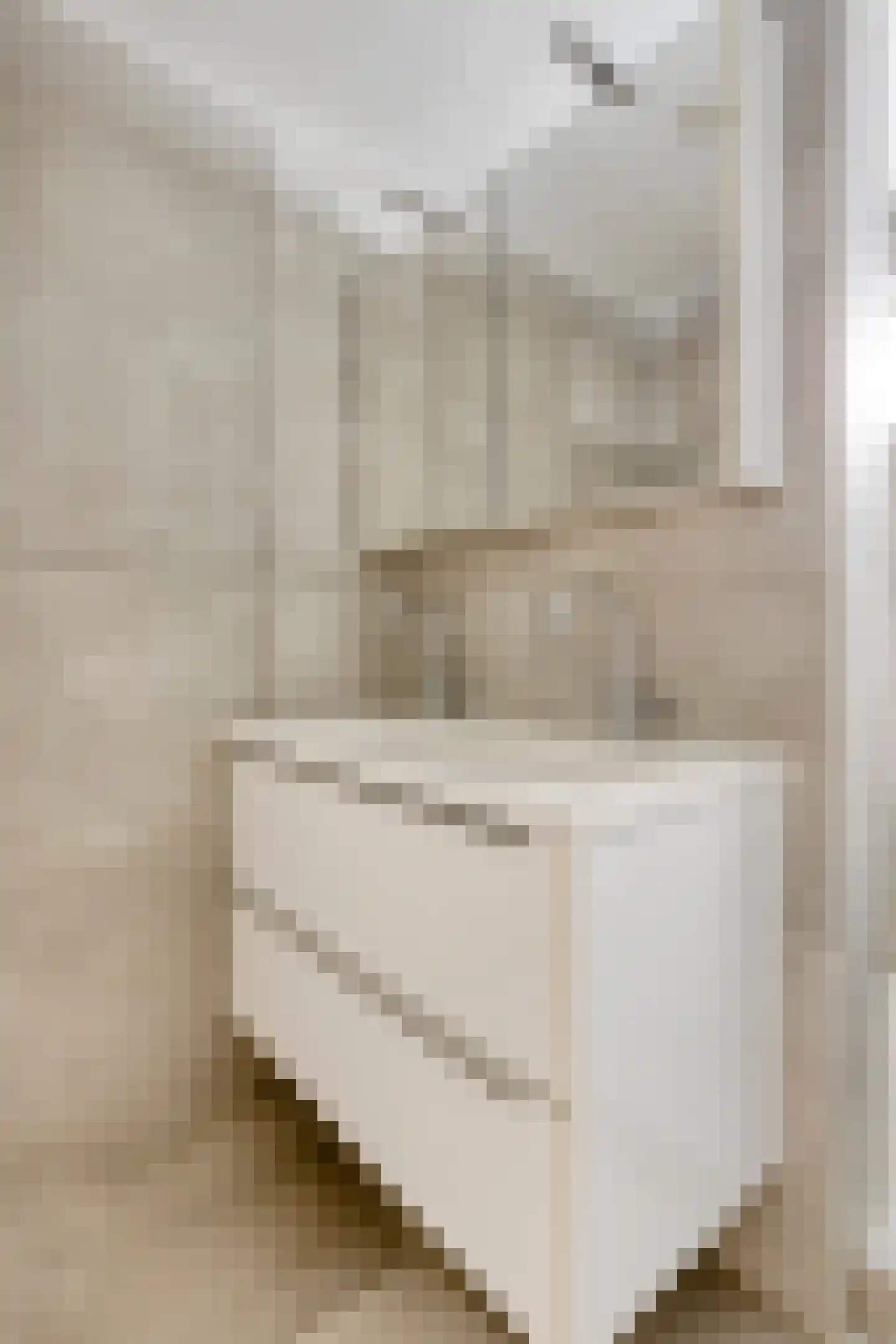 Rietgors 43 Deurne thumbnail 31