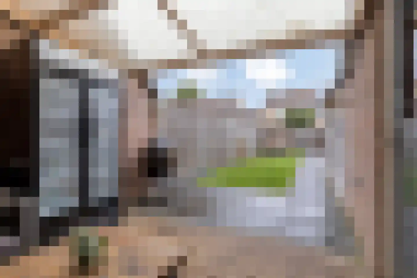 Rietgors 43 Deurne thumbnail 37