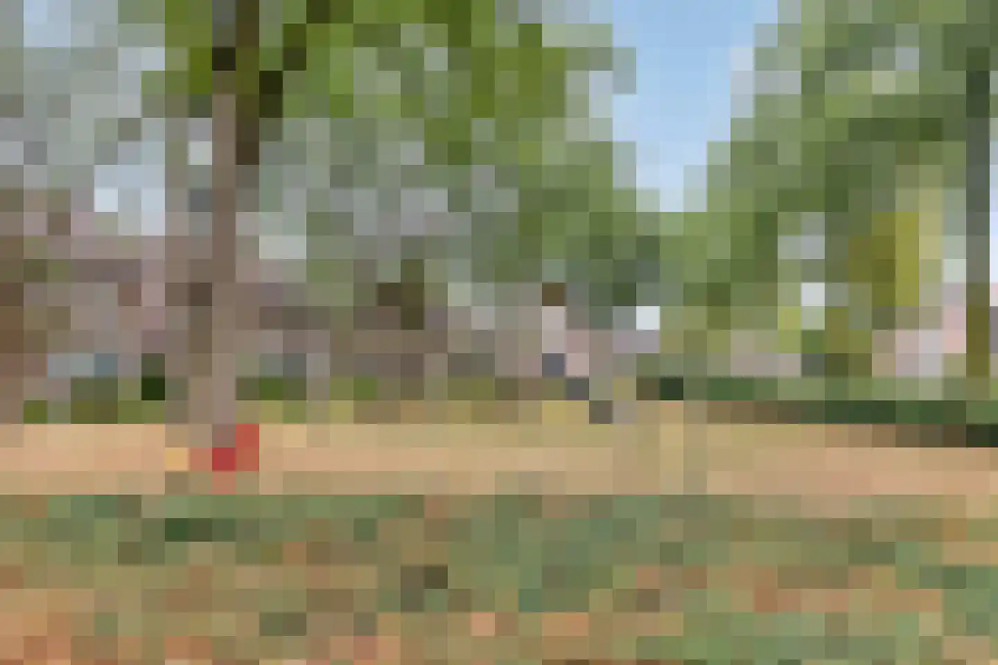 Rietgors 43 Deurne thumbnail 42
