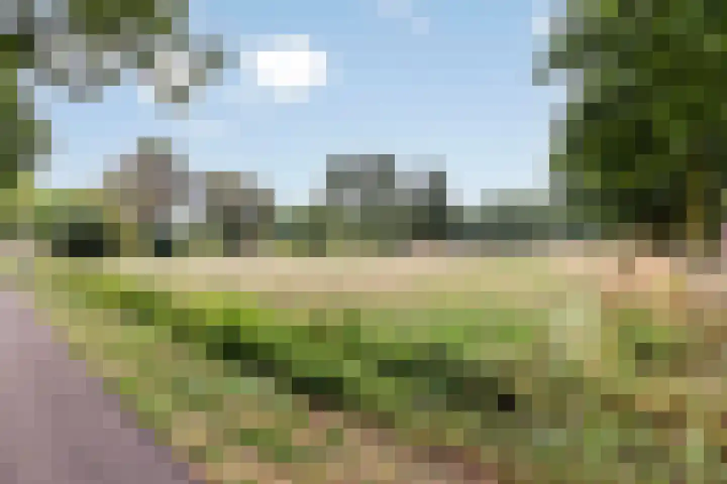 Rietgors 43 Deurne thumbnail 43