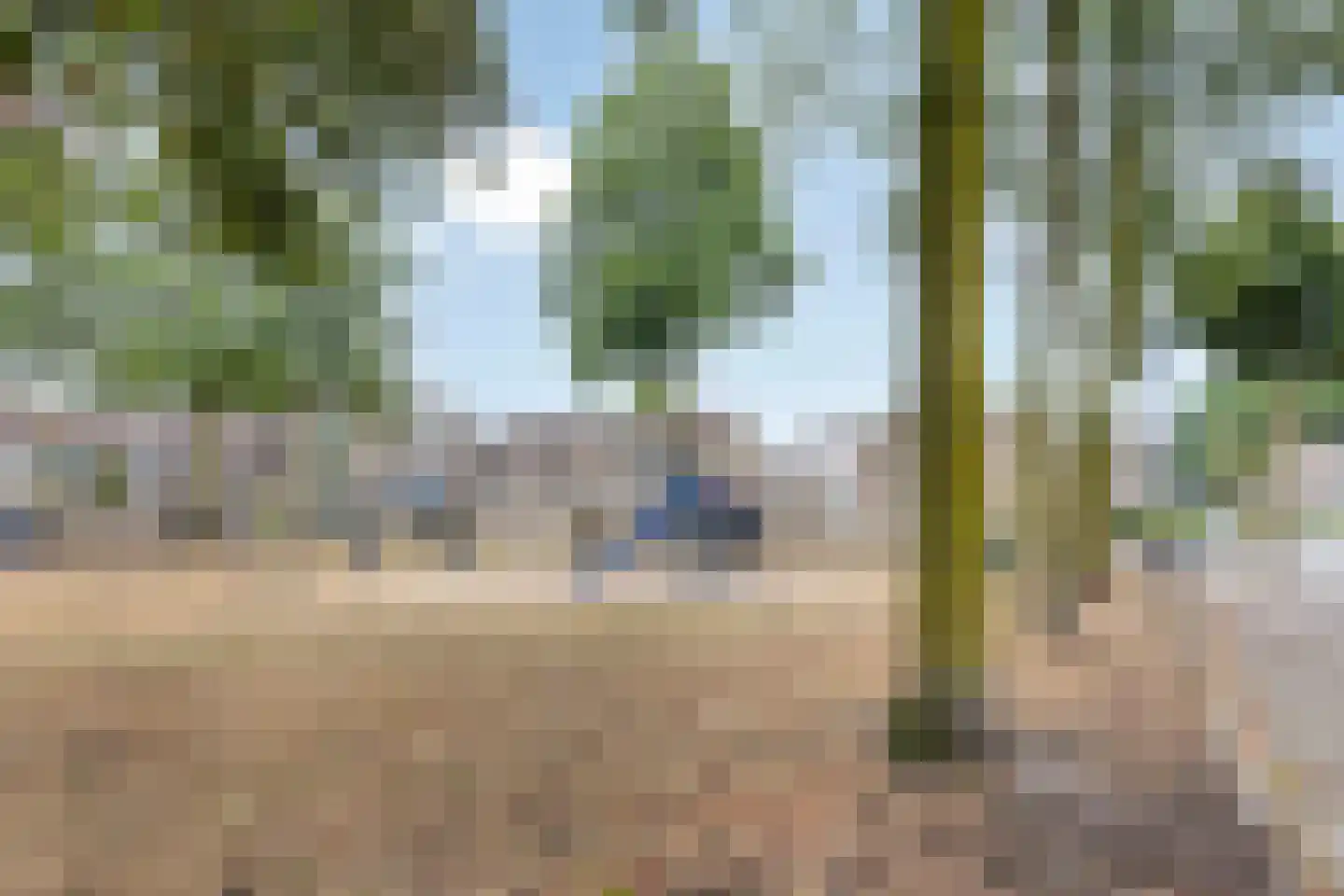 Rietgors 43 Deurne thumbnail 44
