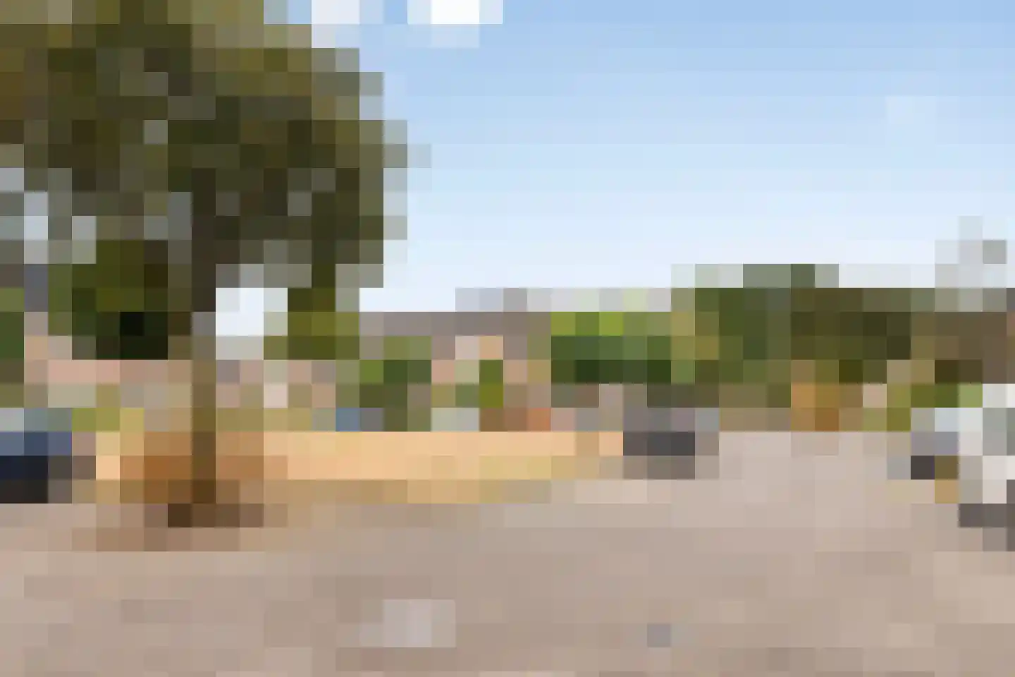 Rietgors 43 Deurne thumbnail 45