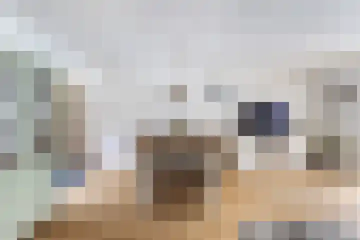 Rietgors 44 Stolwijk thumbnail 10