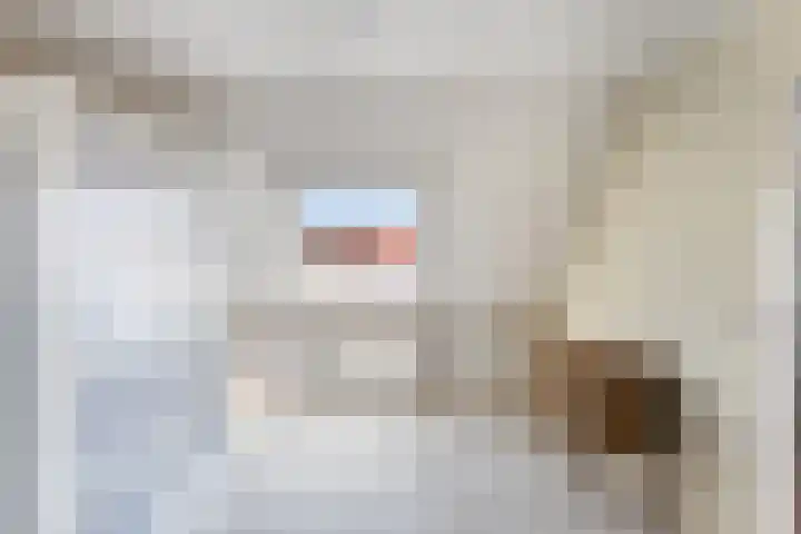 Rietgors 44 Stolwijk thumbnail 27