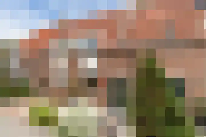 Rietgors 44 Stolwijk thumbnail 29