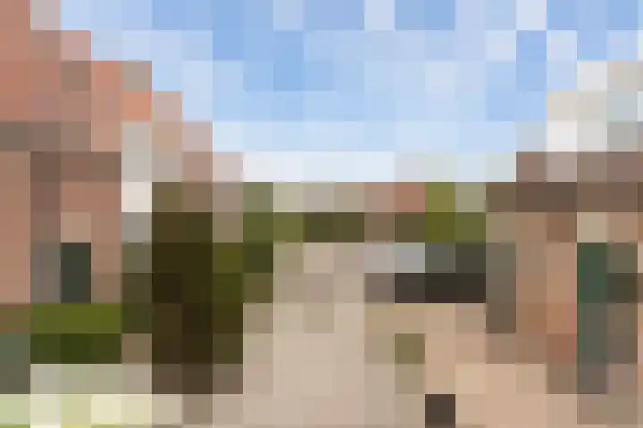 Rietgors 44 Stolwijk thumbnail 31