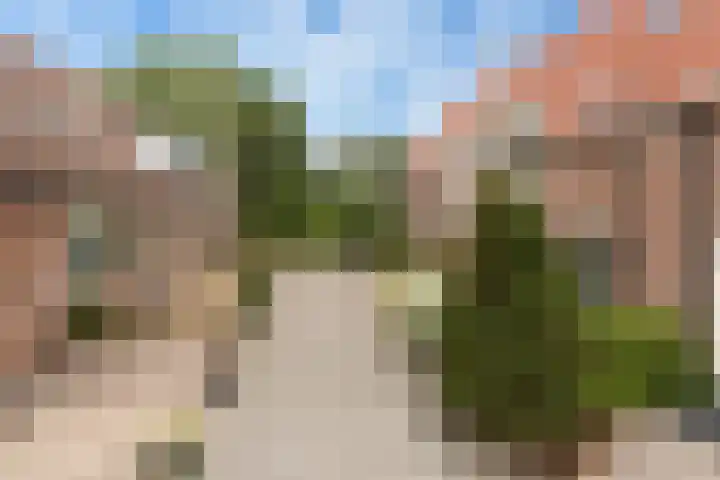 Rietgors 44 Stolwijk thumbnail 32