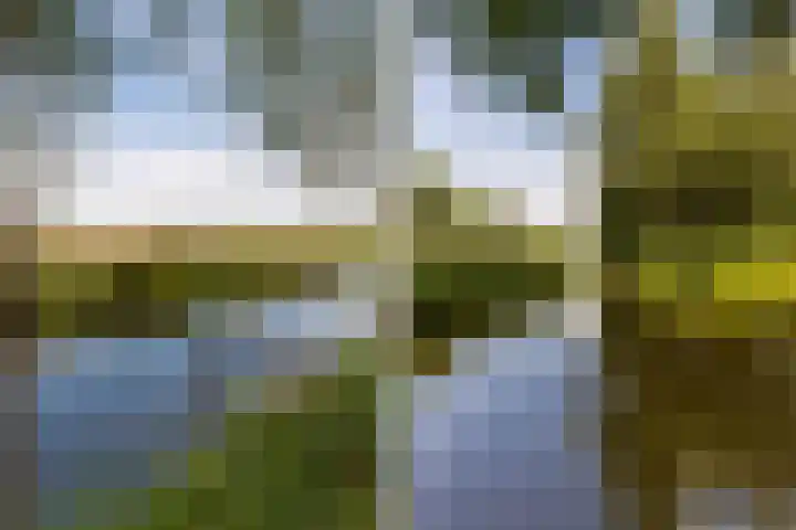 Rietgors 44 Stolwijk thumbnail 35