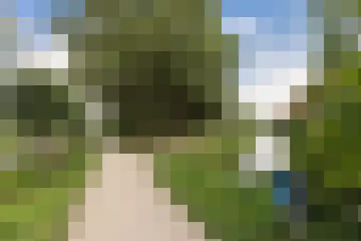 Rietgors 44 Stolwijk thumbnail 36
