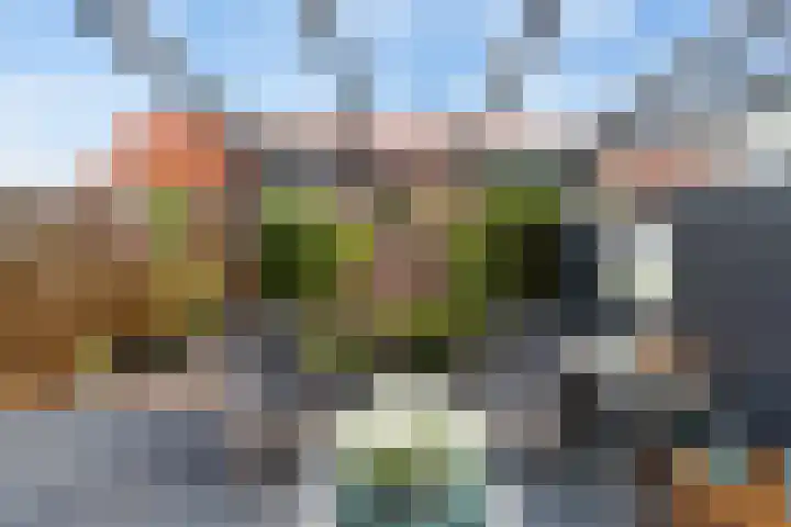 Rietgors 44 Stolwijk thumbnail 4