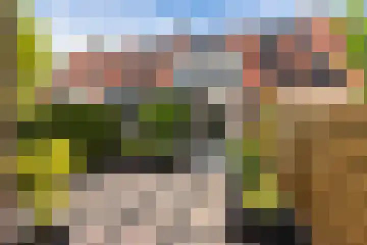 Rietgors 44 Stolwijk thumbnail 5