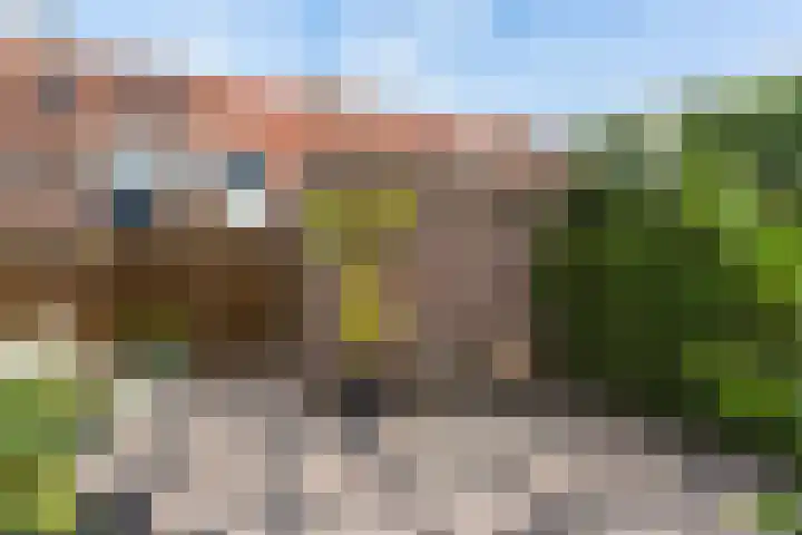 Rietgors 44 Stolwijk thumbnail 6